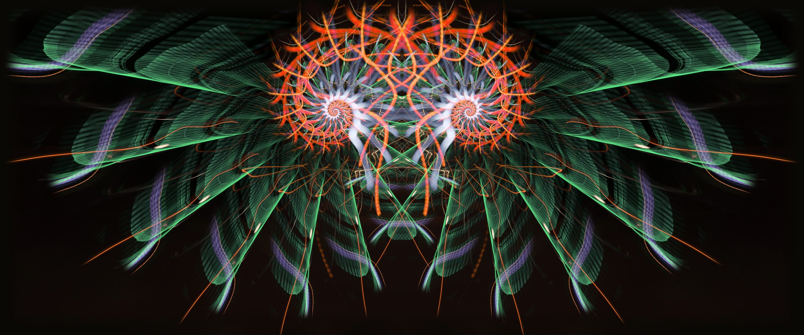 Abstract design featuring swirling green and orange patterns resembling wings and spirals against a dark background.