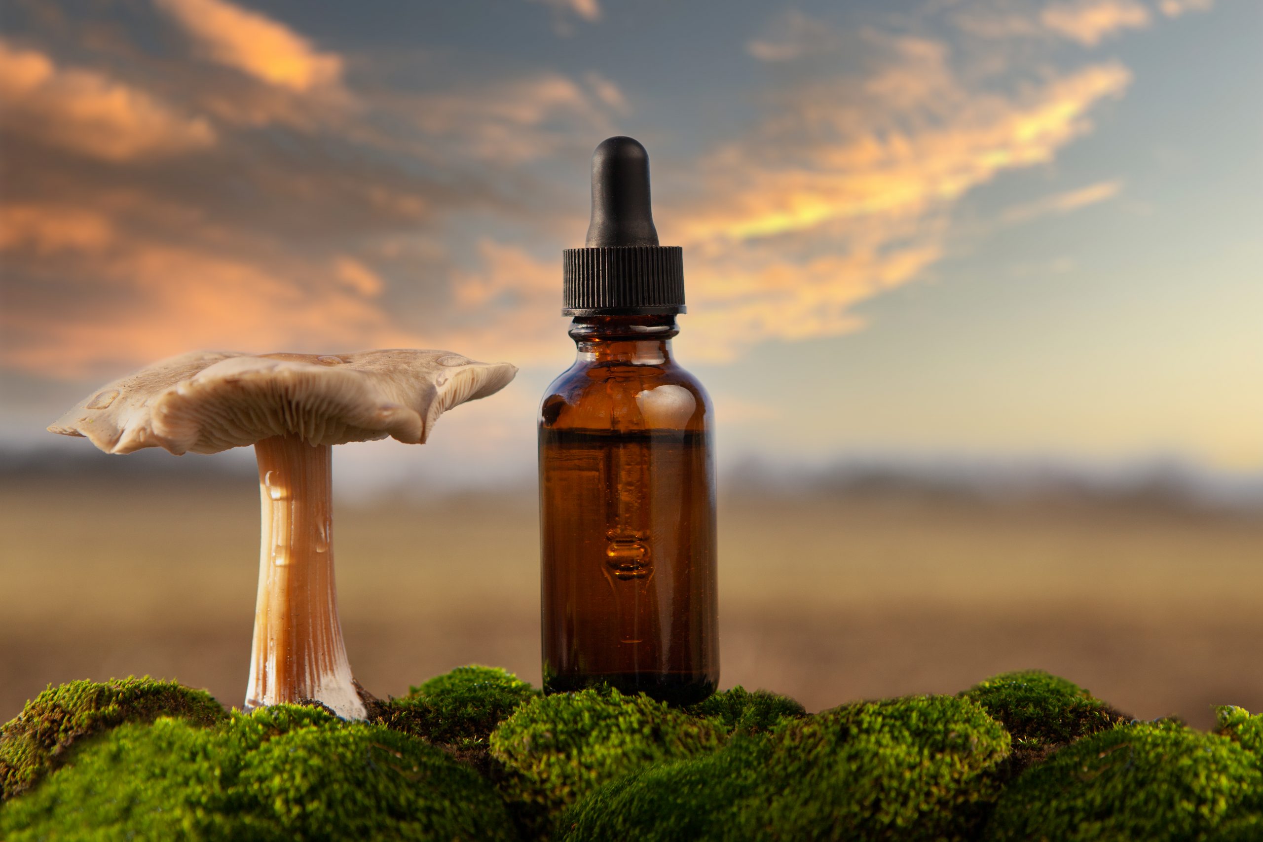 Amber dropper bottle beside a mushroom on a bed of green moss, with a sunset sky in the background.