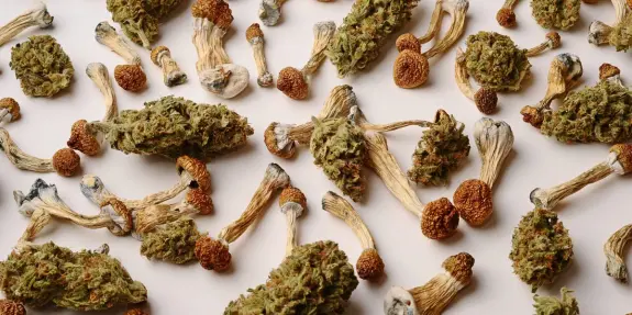 Assorted cannabis buds and dried mushrooms scattered on a light background.