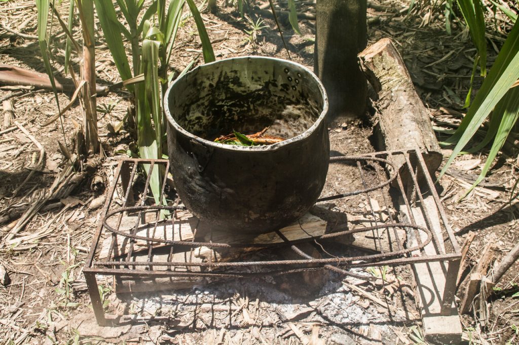 A blackened pot sits on a metal grate over a small fire, surrounded by lush greenery and scattered twigs.