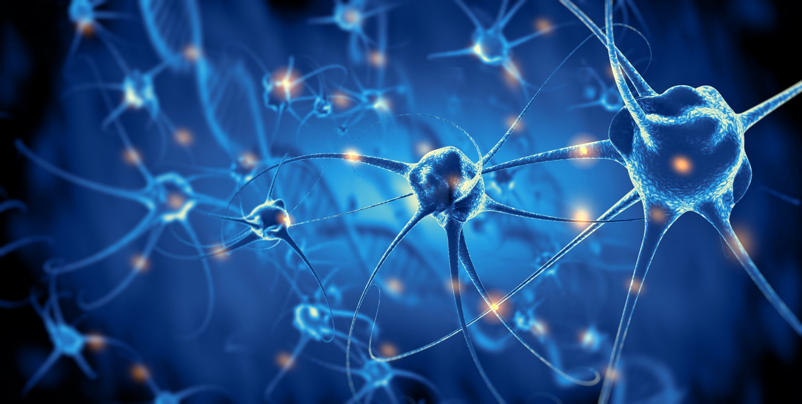Blue-toned neurons with glowing connections against a dark background, illustrating neural networks and activity.