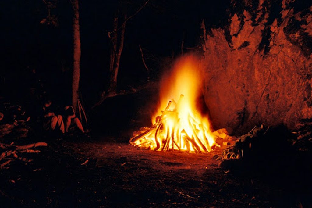 Bright campfire illuminates a dark forest, casting warm light on surrounding trees and rocks.