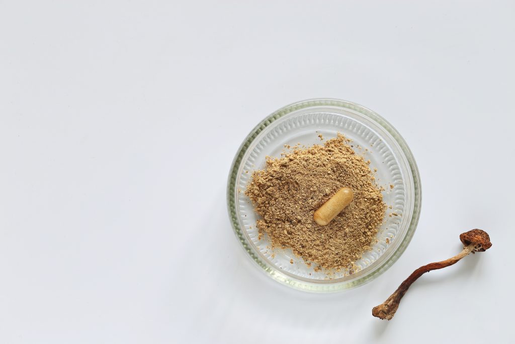 Brown powder in a glass dish with a single yellow capsule and a dried mushroom beside it on a white surface.