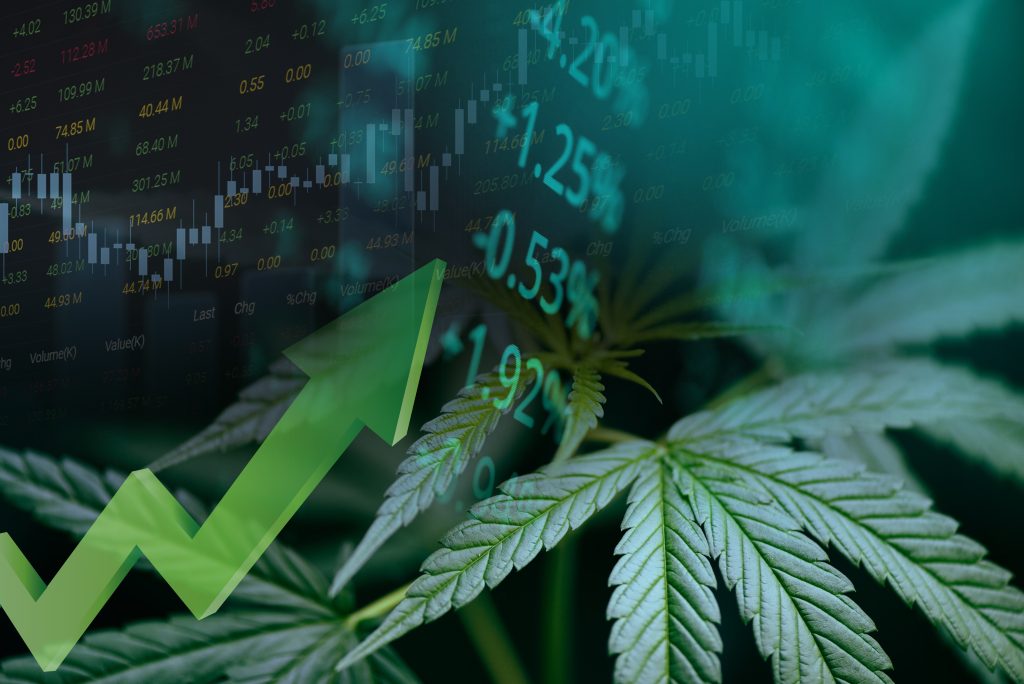 Cannabis leaf in foreground with a rising graph overlay, symbolizing growth in the cannabis market.