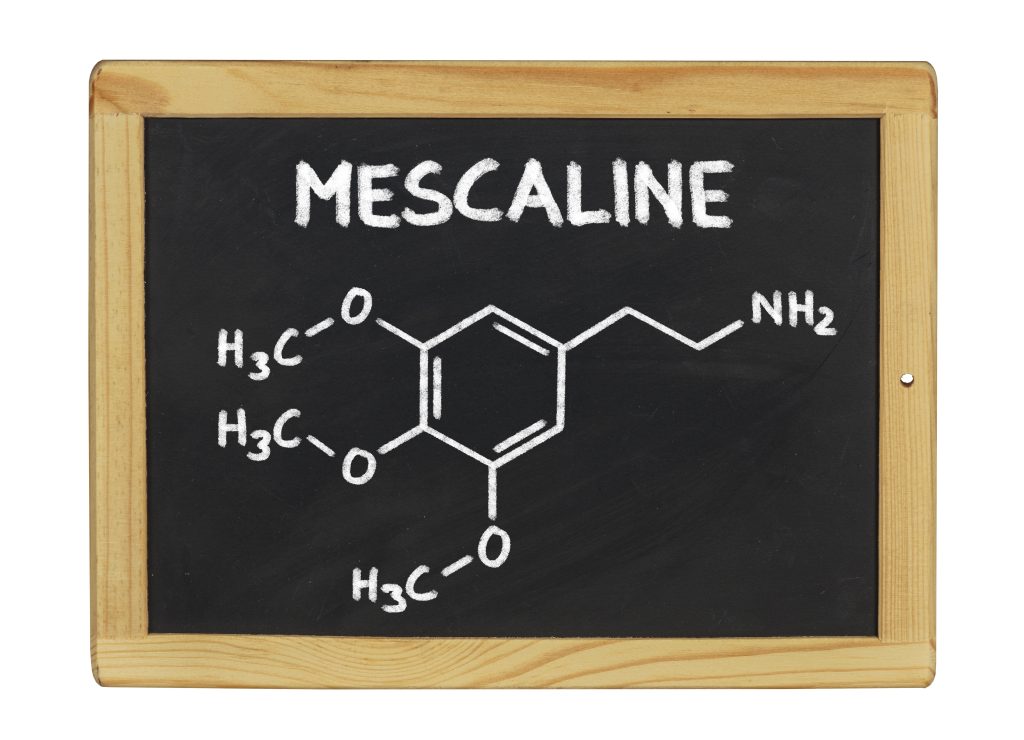 Chalkboard displaying the chemical structure of mescaline, labeled clearly at the top.