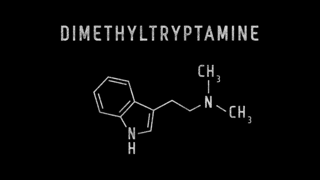Chemical structure of dimethyltryptamine (DMT) displayed on a black background with labeled components.