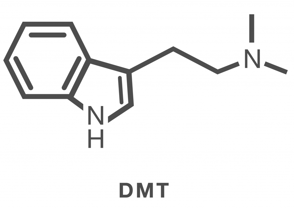 Chemical structure of DMT, featuring a benzene ring, nitrogen atoms, and a carbon chain.