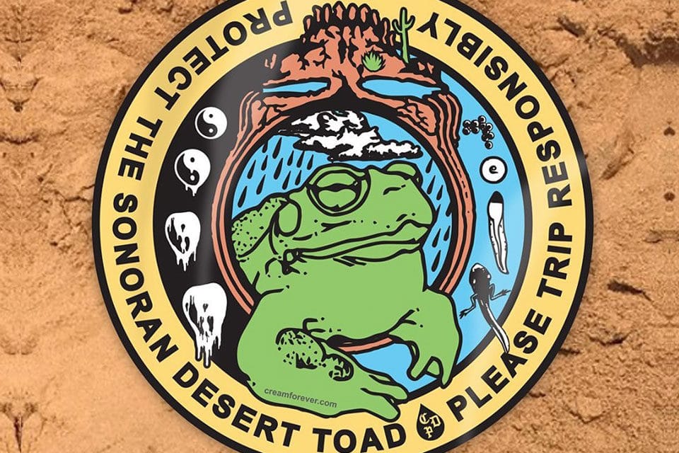 Circular sticker featuring a green Sonoran Desert toad surrounded by desert elements and a colorful, artistic design.