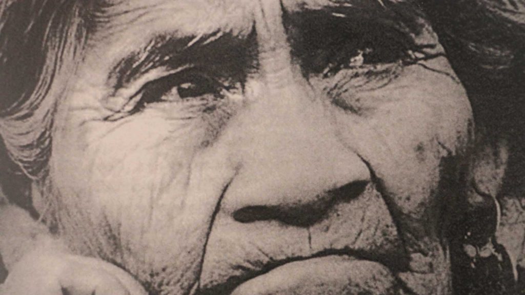 Close-up of an elderly woman's face, showcasing deep wrinkles and expressive eyes, reflecting wisdom and resilience.