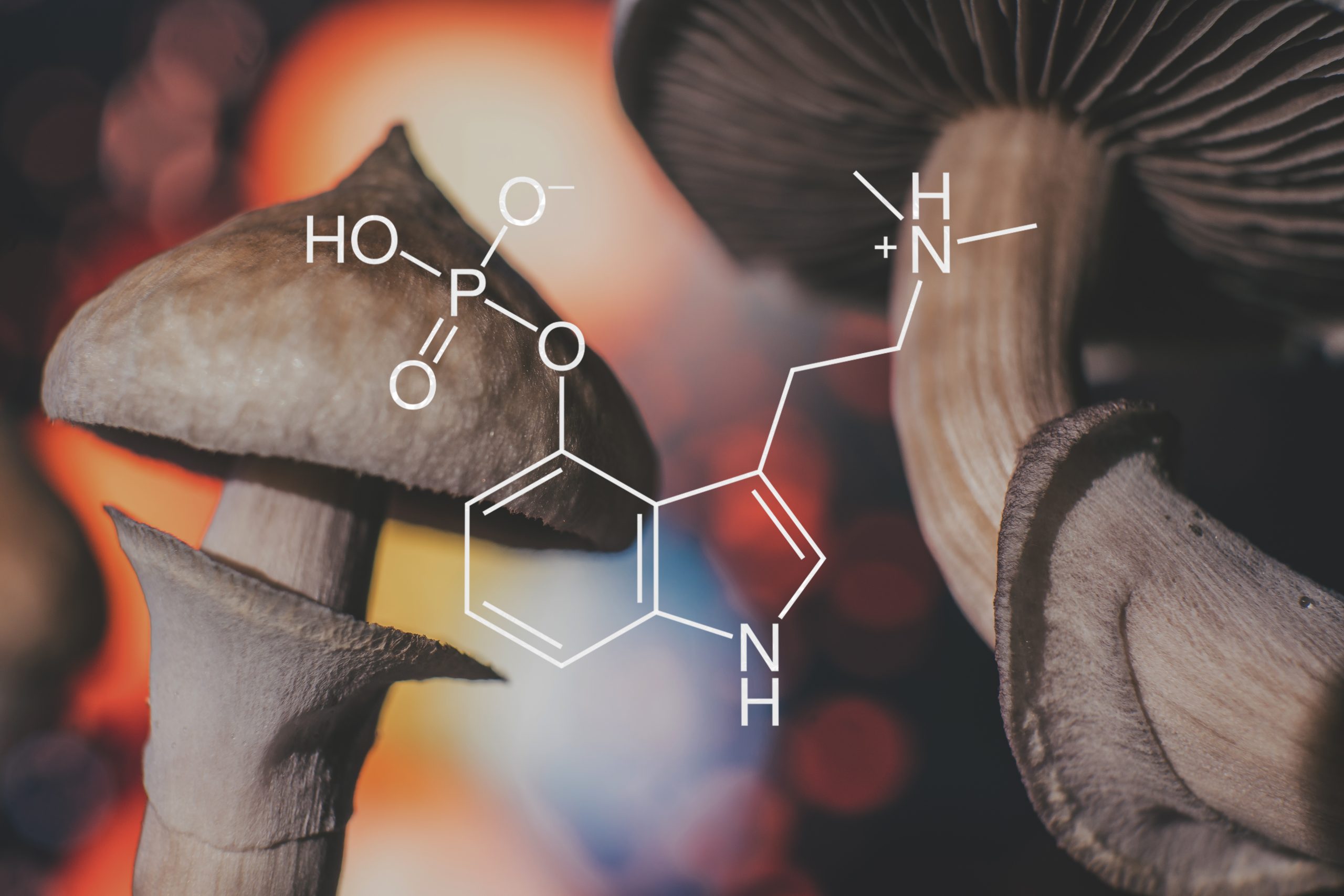 Close-up of mushrooms with a chemical structure overlay, featuring soft bokeh in the background.