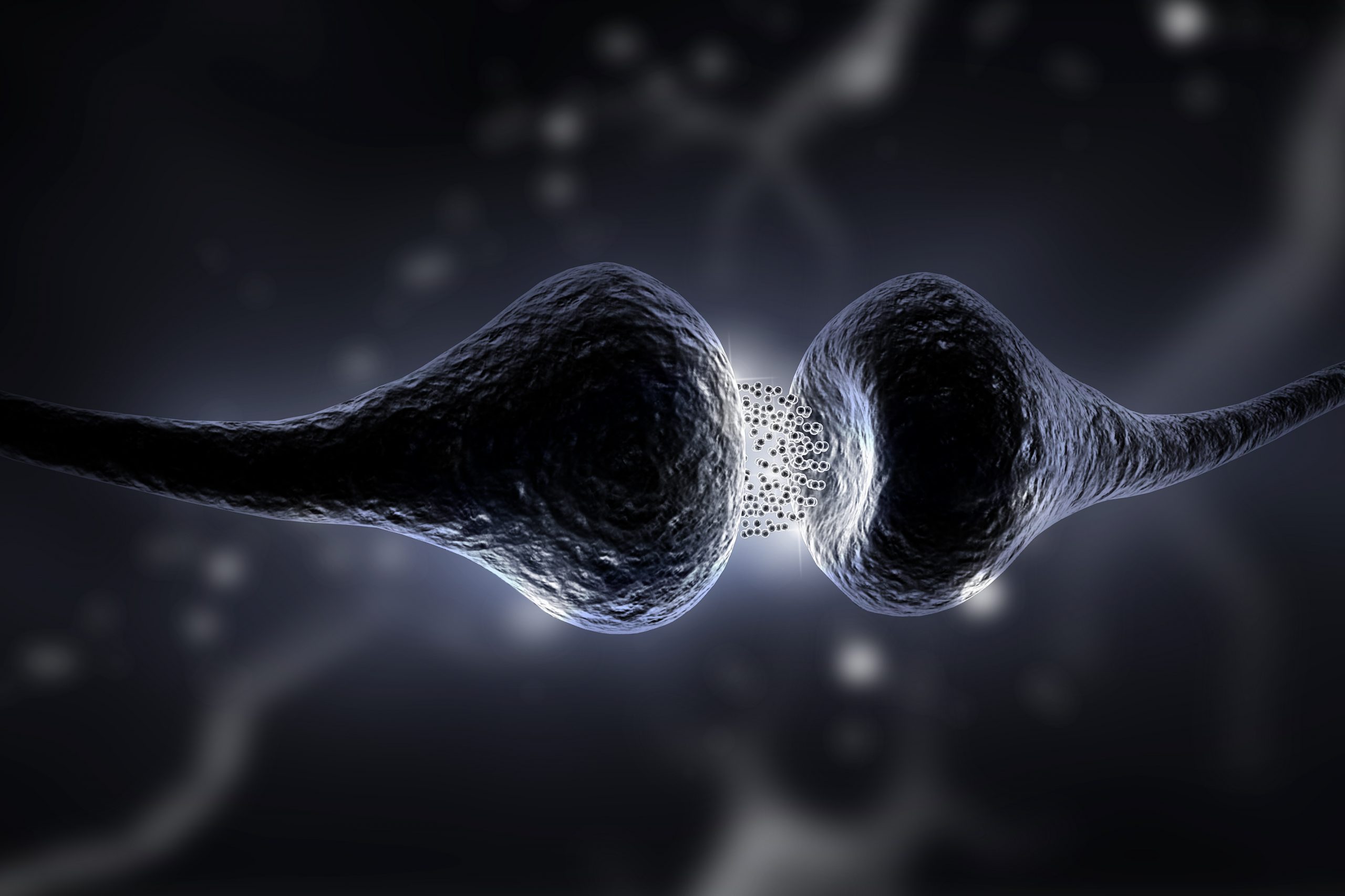 Close-up view of two neurons forming a synapse, with a dark background and glowing connections.