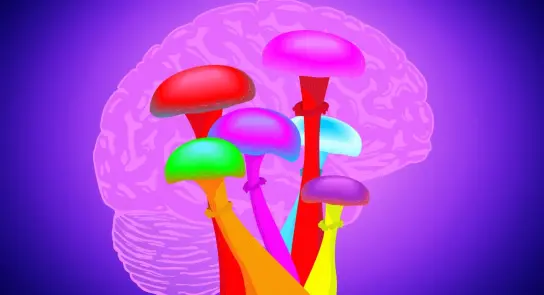 Colorful mushrooms with vibrant caps stand against a faint outline of a brain, set on a purple background.