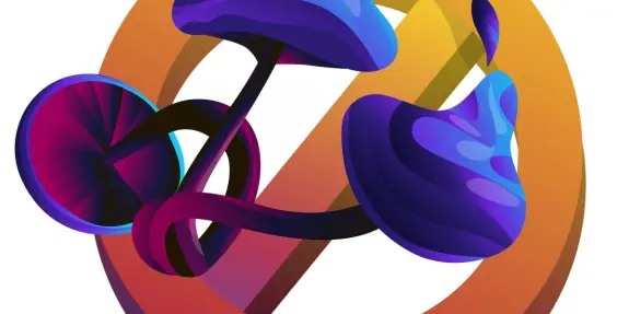 Colorful, stylized mushrooms entwined with a bold, circular orange and yellow background.