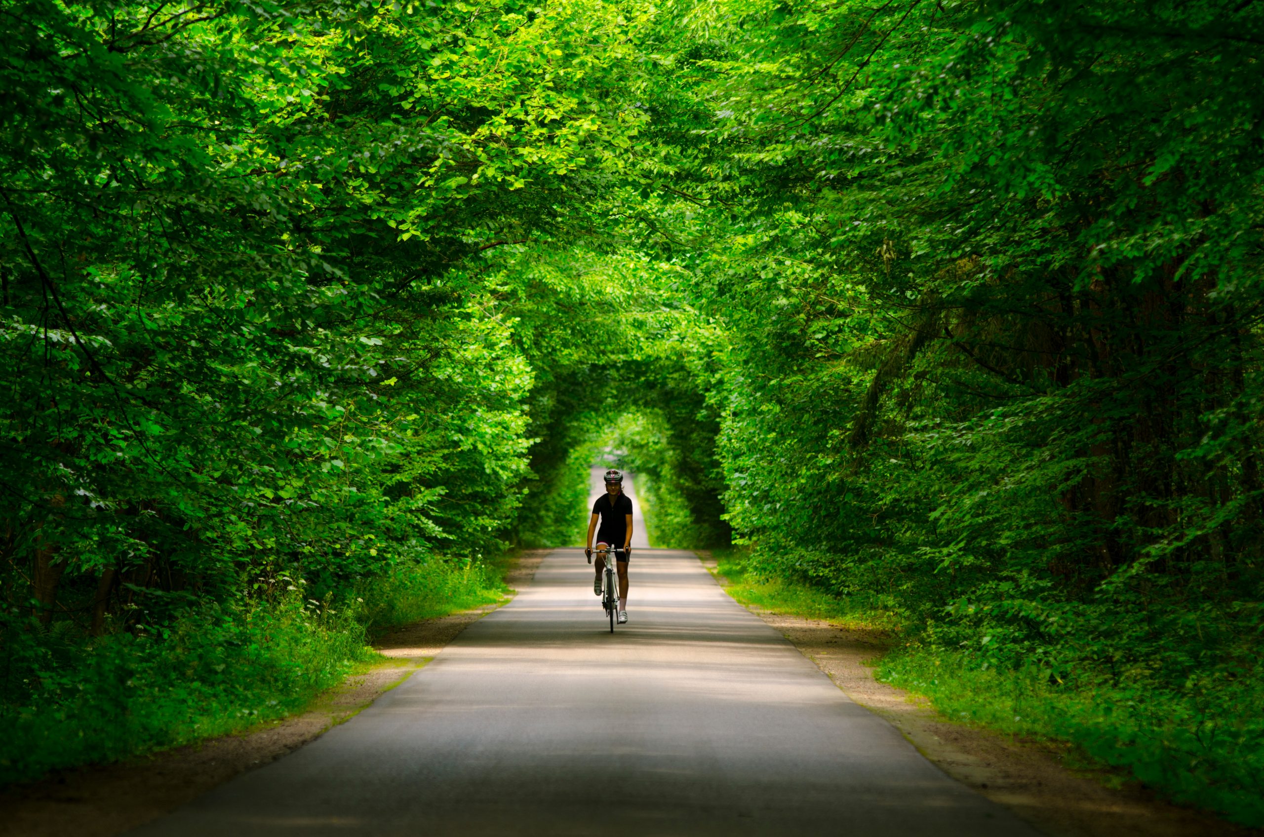 A cyclist rides along a tree-lined path, surrounded by lush green foliage creating a natural tunnel effect.