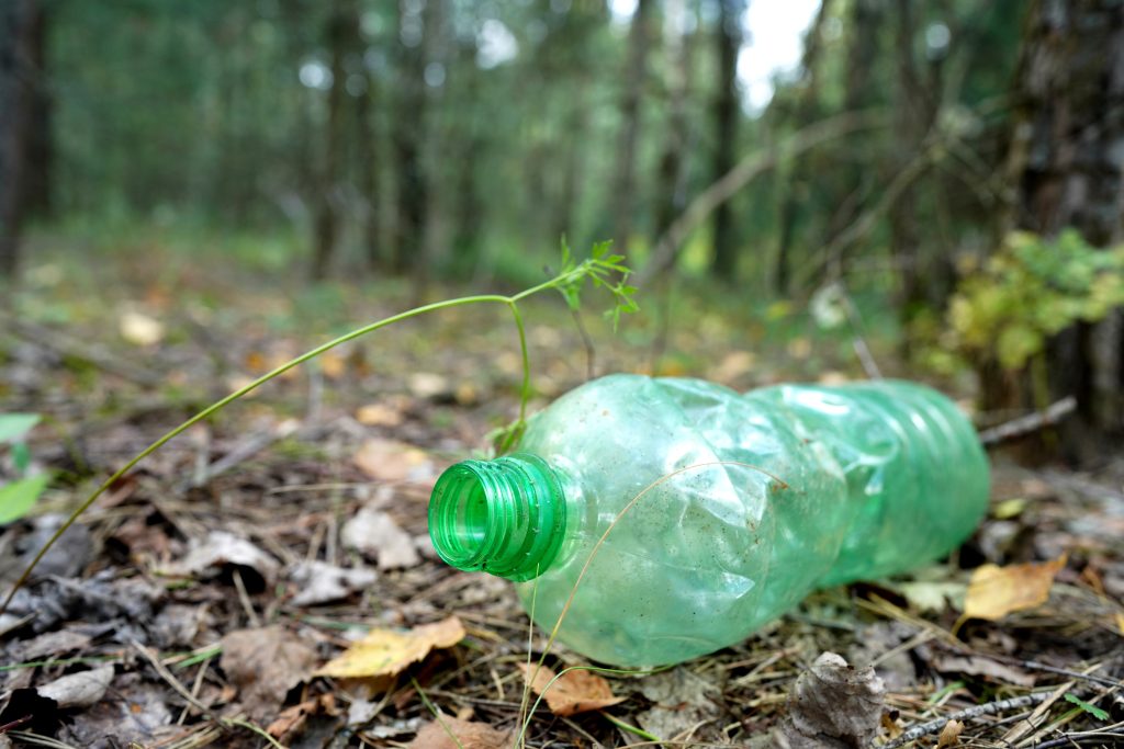 A discarded green plastic bottle lies on the forest floor, with a small plant sprouting from its opening among fallen leaves.