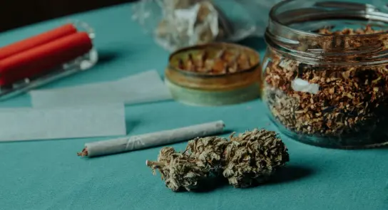 Dried cannabis buds on a teal surface, surrounded by rolling papers, a grinder, and a jar of loose herb.