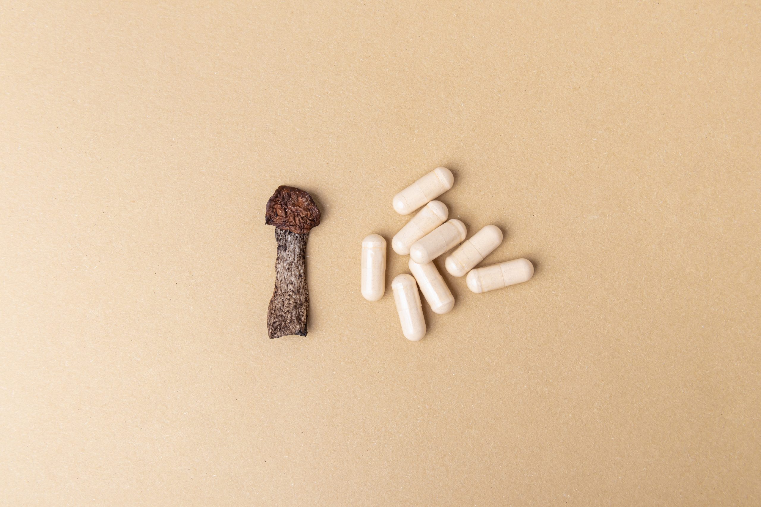 Dried mushroom next to several beige capsules on a light brown background.