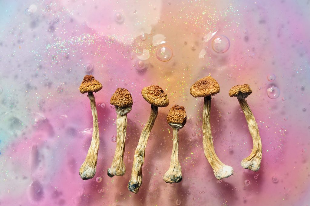 Dried mushrooms arranged in a line on a colorful, glittery background with bubbles.
