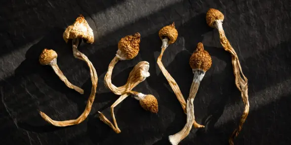 Dried mushrooms with brown caps and slender stems arranged on a dark surface, illuminated by soft shadows.