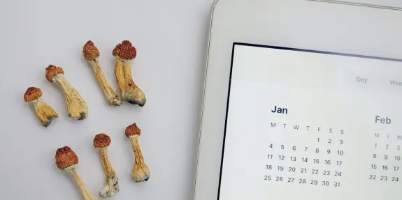Dried mushrooms scattered beside a digital calendar displaying January and February dates.