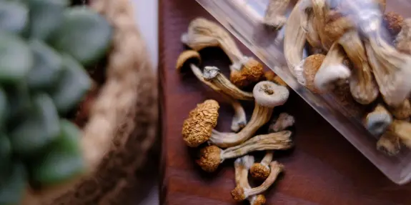Dried mushrooms scattered on a wooden surface, with a succulent plant partially visible in the background.