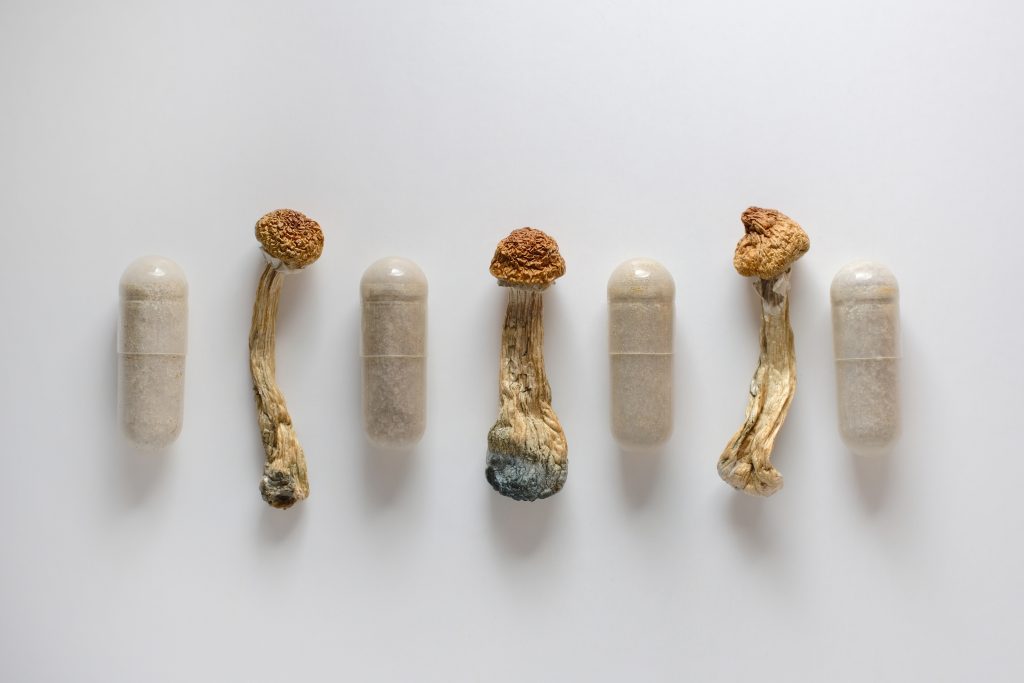 Dried psilocybin mushrooms alongside clear capsules on a light background.