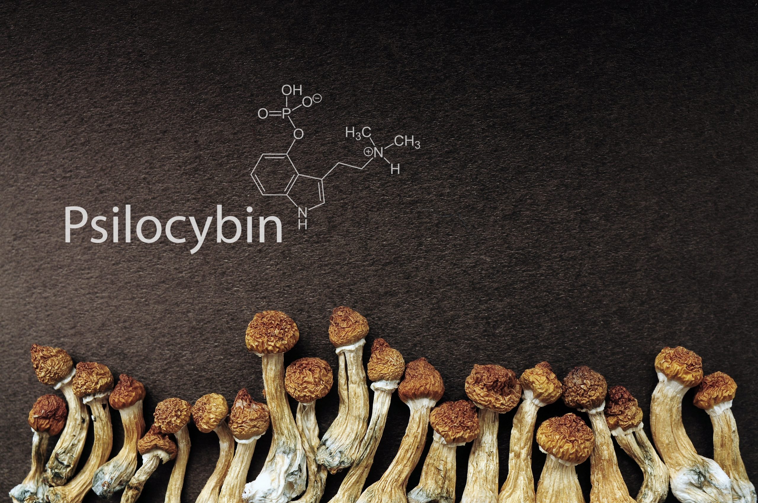 Dried psilocybin mushrooms arranged at the bottom, with a chemical structure illustration and the word "Psilocybin" above.