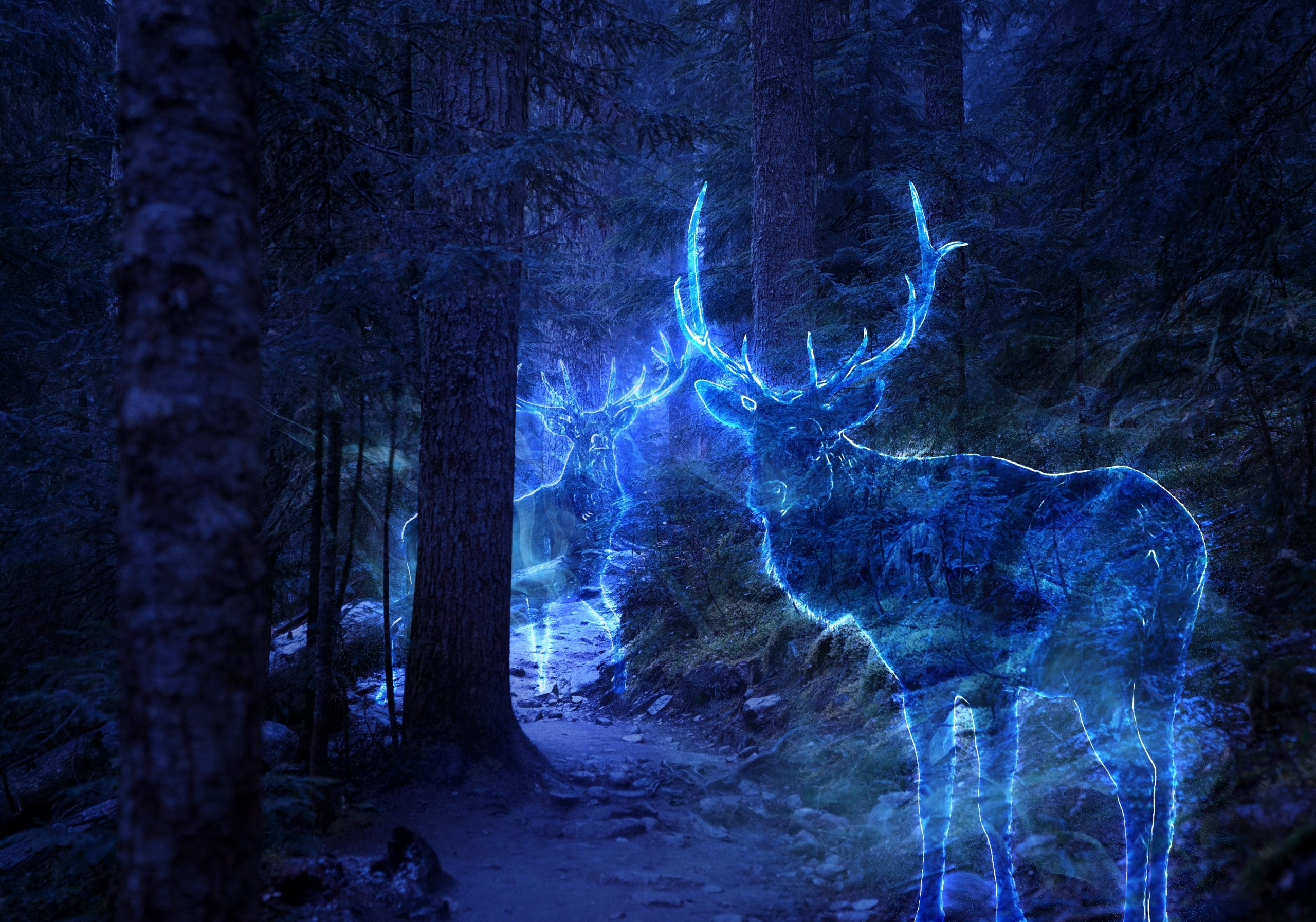 Ethereal blue deer with glowing antlers stand among dark forest trees, creating a mystical atmosphere.