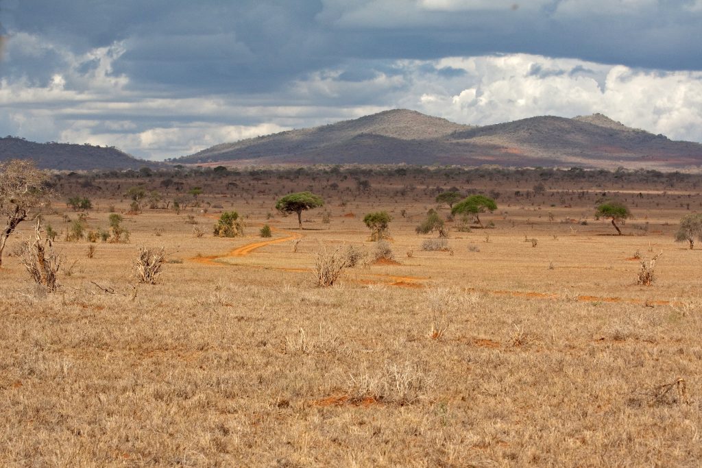 Expansive dry landscape with sparse vegetation, distant mountains, and a winding dirt path under a cloudy sky.
