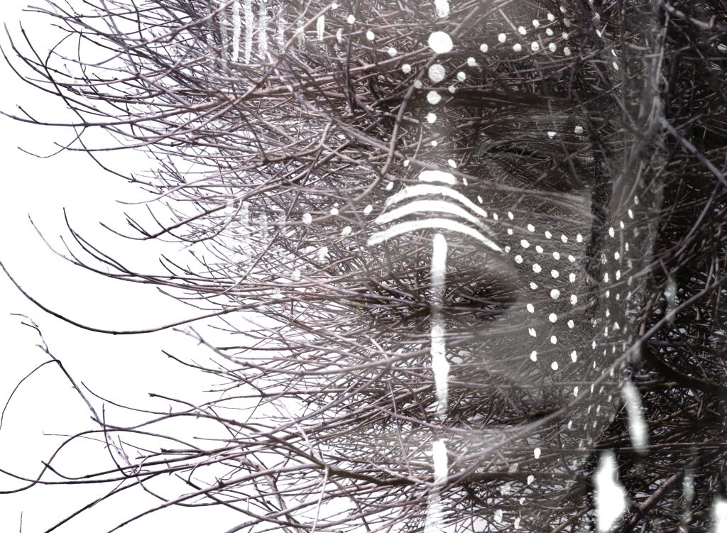 A face partially obscured by bare branches, adorned with white tribal paint and intricate patterns.