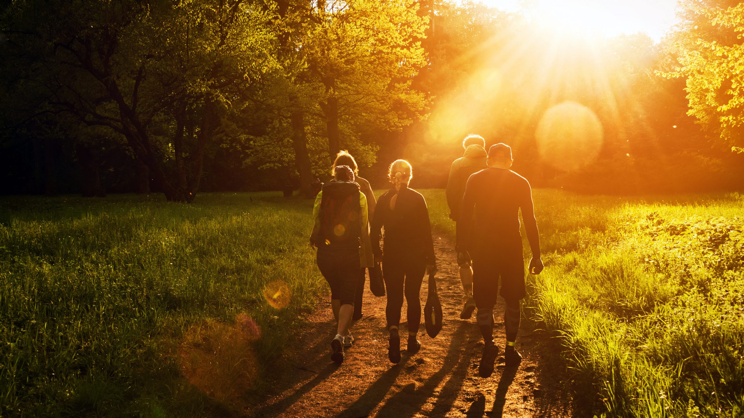 Five people walking along a sunlit path, surrounded by lush greenery and golden sunlight filtering through trees.