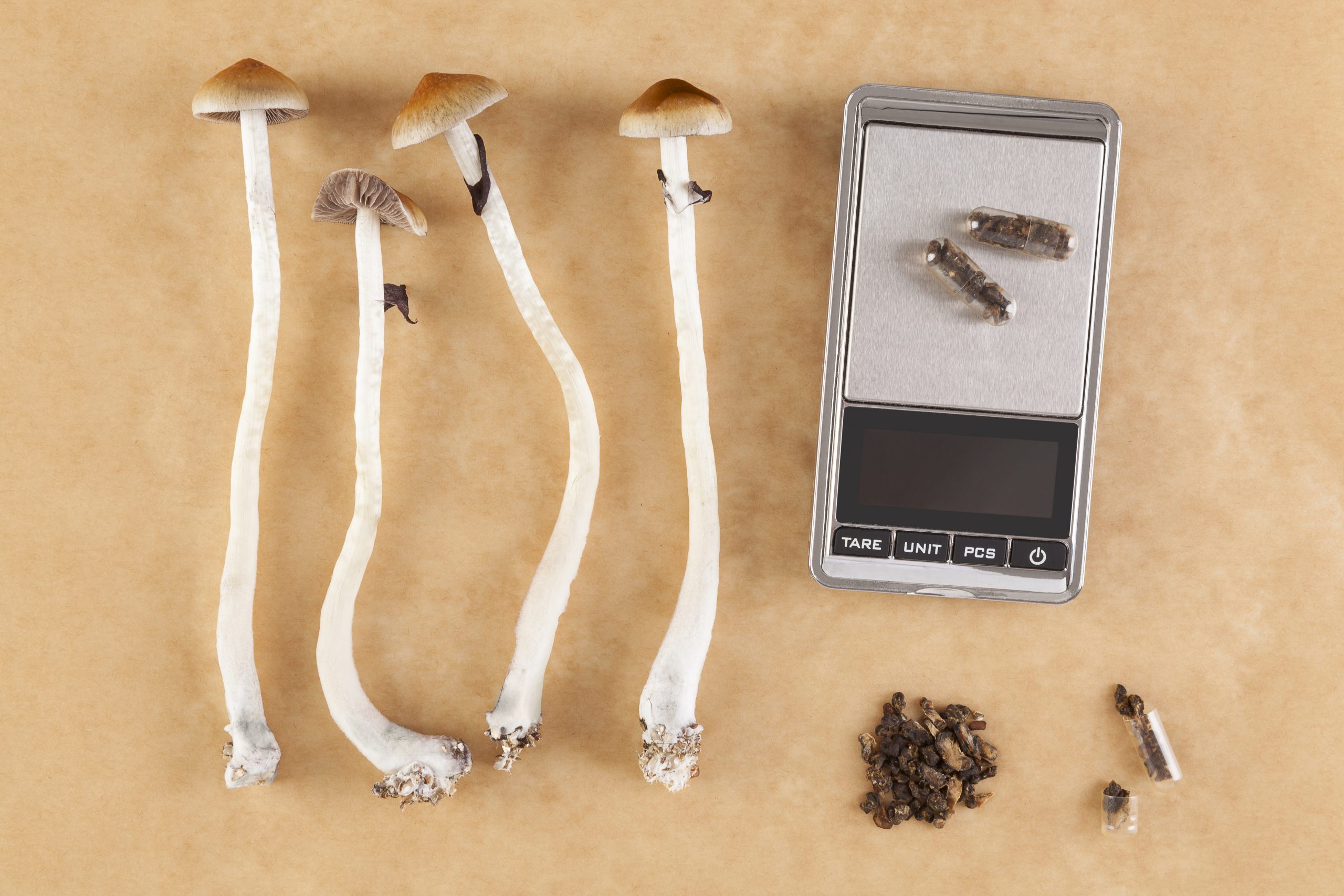 Four mushrooms and a digital scale on brown paper, with small capsules and dried pieces nearby.