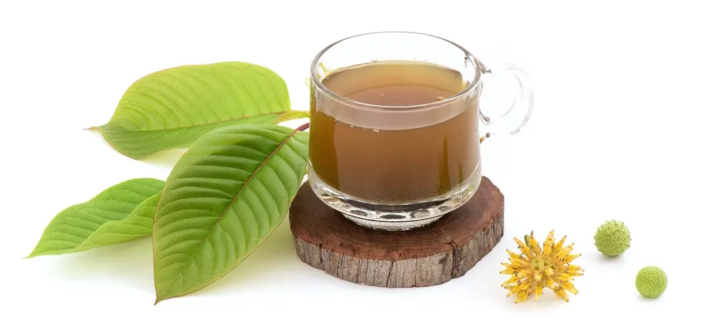 Glass cup of herbal tea beside green leaves, a wooden coaster, and small yellow flowers.