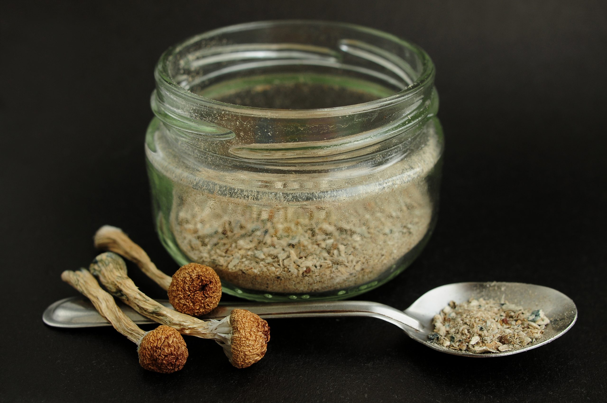 Glass jar containing a fine powder with dried mushrooms and a spoon beside it, set against a dark background.