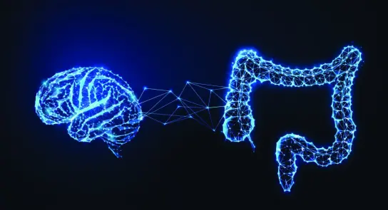 A glowing blue brain connected to a stylized glowing intestine, symbolizing the gut-brain connection.