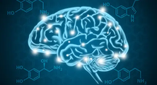 Glowing blue brain illustration with neural connections, set against a hexagonal pattern and chemical structures.