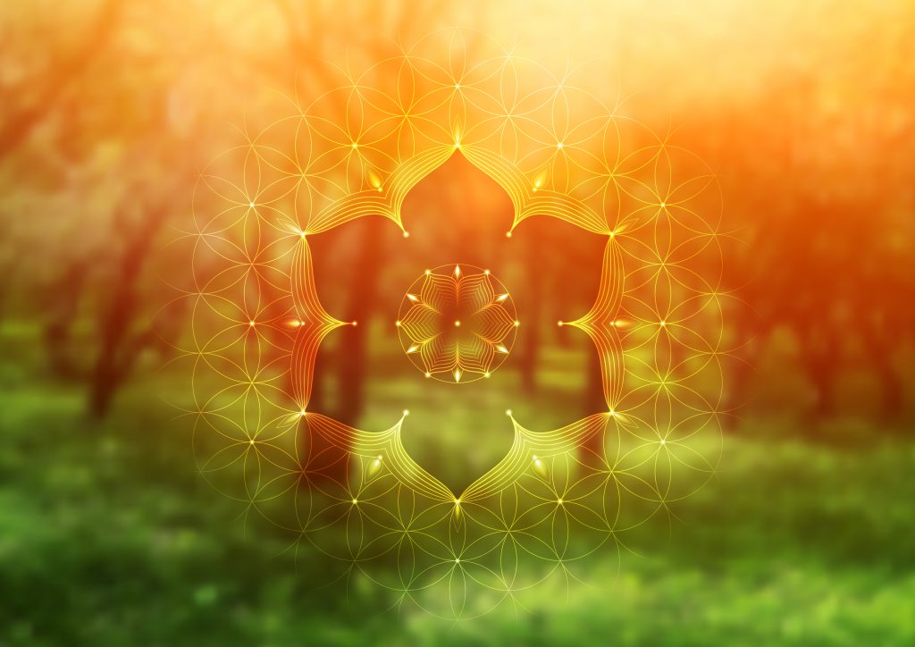 Golden mandala design glows against a blurred green forest background, creating a serene, mystical atmosphere.