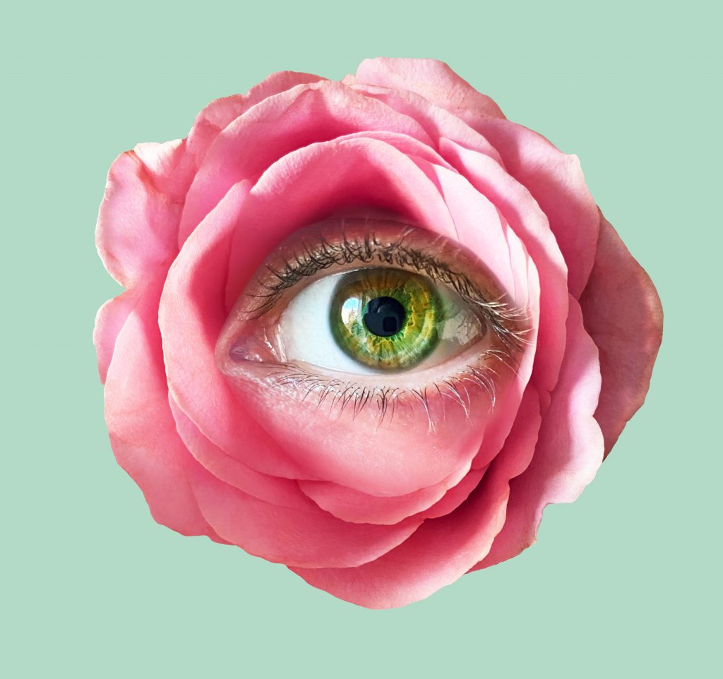A green eye peeks through the center of a pink rose, blending nature and human features against a soft green background.