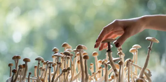 A hand gently touches a cluster of mushrooms, with a soft, blurred green background.