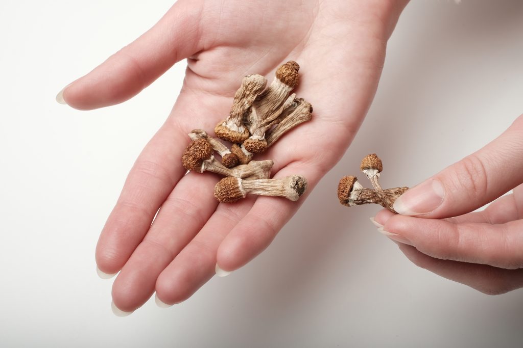 Hand holding dried mushrooms, with several scattered on a white surface.