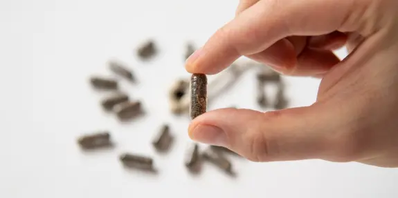 A hand holds a dark capsule above a scattered arrangement of similar capsules on a white surface.