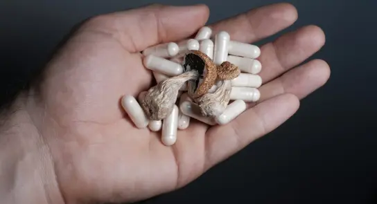 A hand holds a mix of dried mushrooms and white capsules against a dark background.