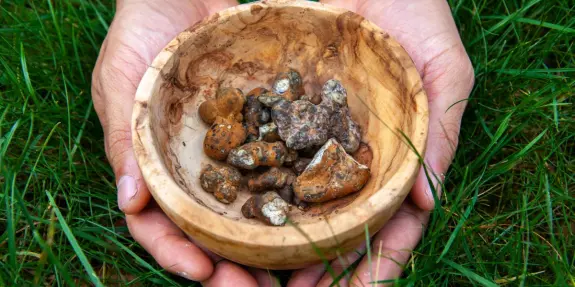 Hands holding a wooden bowl filled with various stones, resting on green grass.