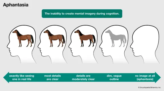 Illustration showing heads with varying clarity of horse images, depicting degrees of mental imagery in aphantasia.