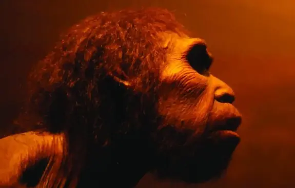 Profile of a Neanderthal with prominent brow ridge and textured hair, illuminated by warm orange light.
