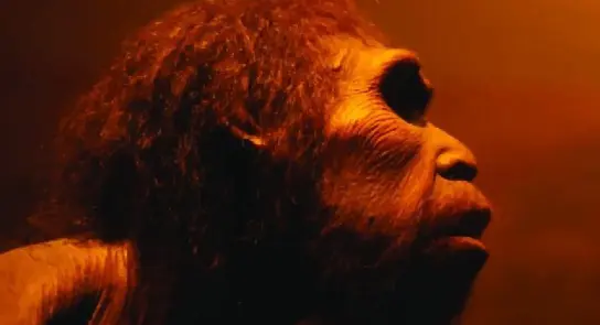 Profile of a Neanderthal with prominent brow ridge and textured hair, illuminated by warm orange light.
