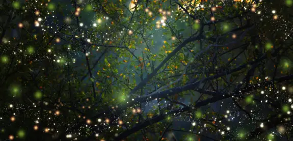 Dappled light filters through branches, creating a magical atmosphere with sparkling orbs and lush green leaves.