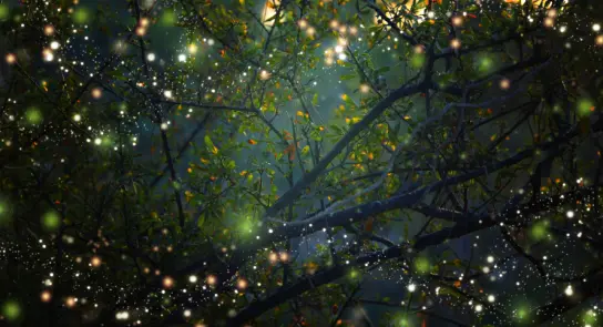 Dappled light filters through branches, creating a magical atmosphere with sparkling orbs and lush green leaves.