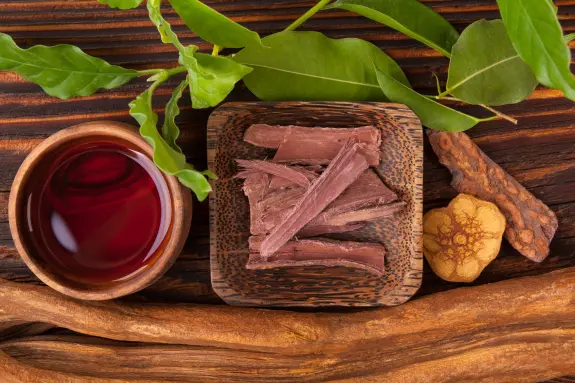 Dried herbal strips on a wooden plate, surrounded by green leaves, a bowl of red liquid, and bark pieces.
