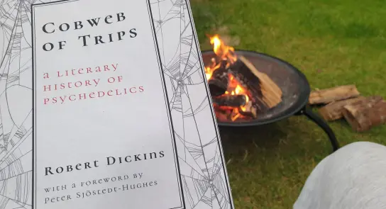 A person holds "Cobweb of Trips" near a fire pit, surrounded by grass and logs, creating a cozy outdoor reading scene.